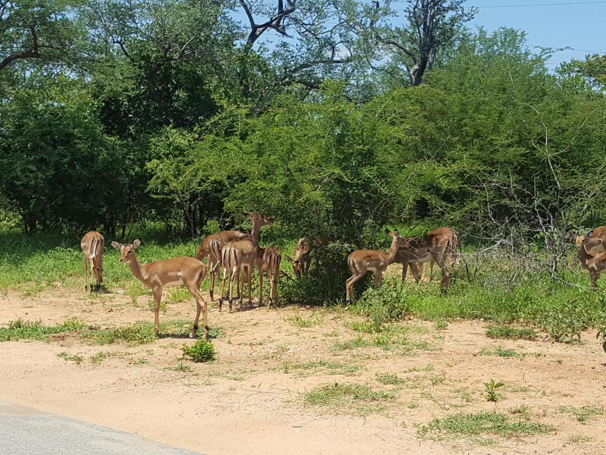 At Rest Bushstay Hoedspruit Exterior photo